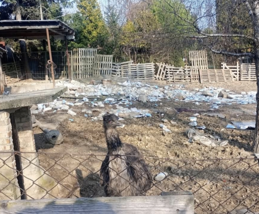 To, čo našli na dvore, šokovalo aj skúsených inšpektorov