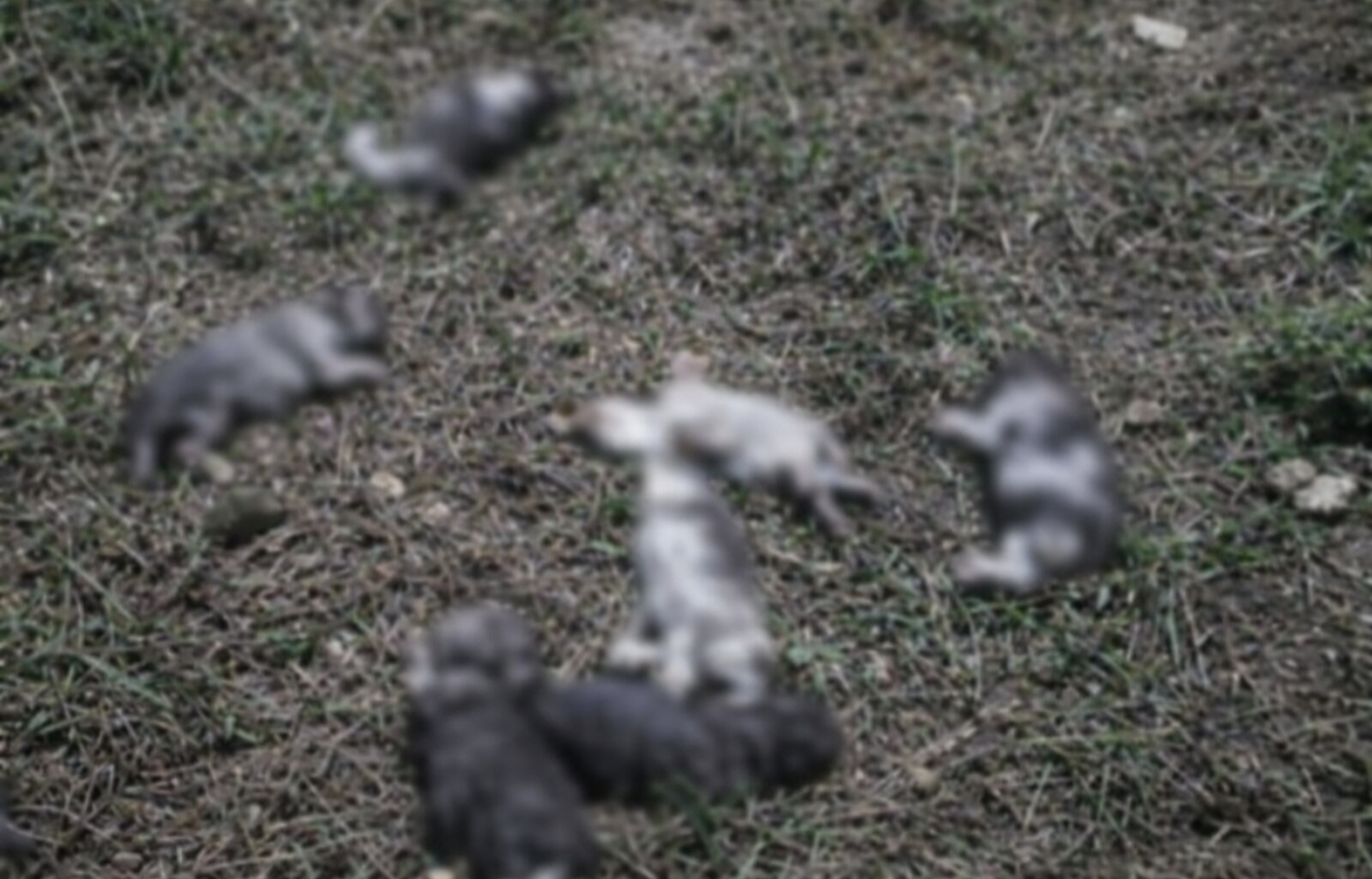 Takýto nález nikto nečakal